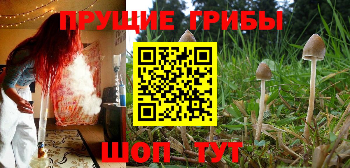 Псилоцибиновые грибы Psilocybine cubensis  Псилоцибиновые грибы Psilocybe  Ефремов  Вход с VPN 