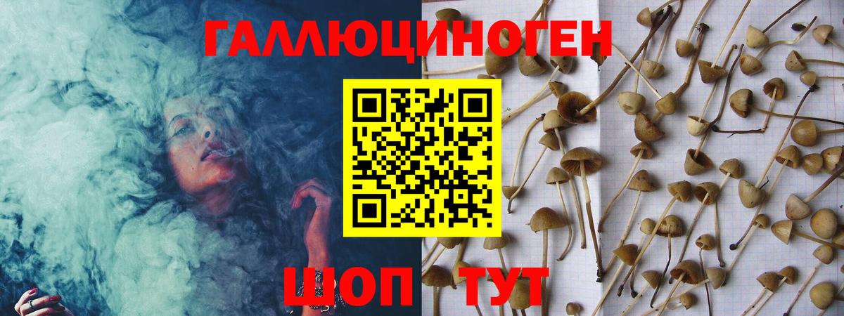 Галлюциногенные грибы мицелий Ефремов